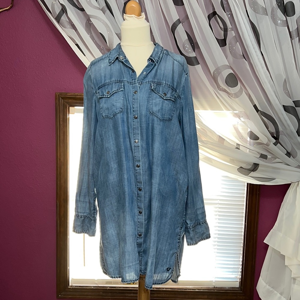 L True Religion Georgia Shirt Dress